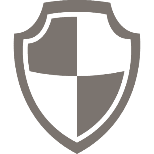 Icon of a shield